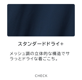 スタンダードドライ