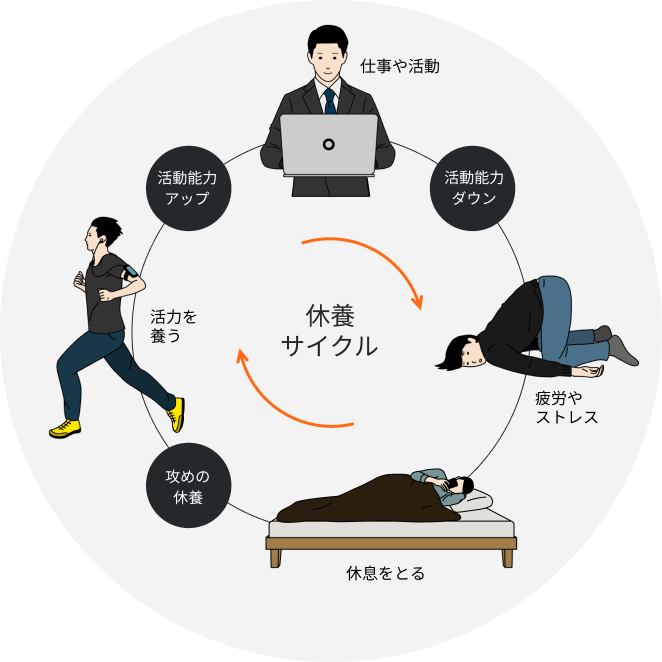 休養サイクル